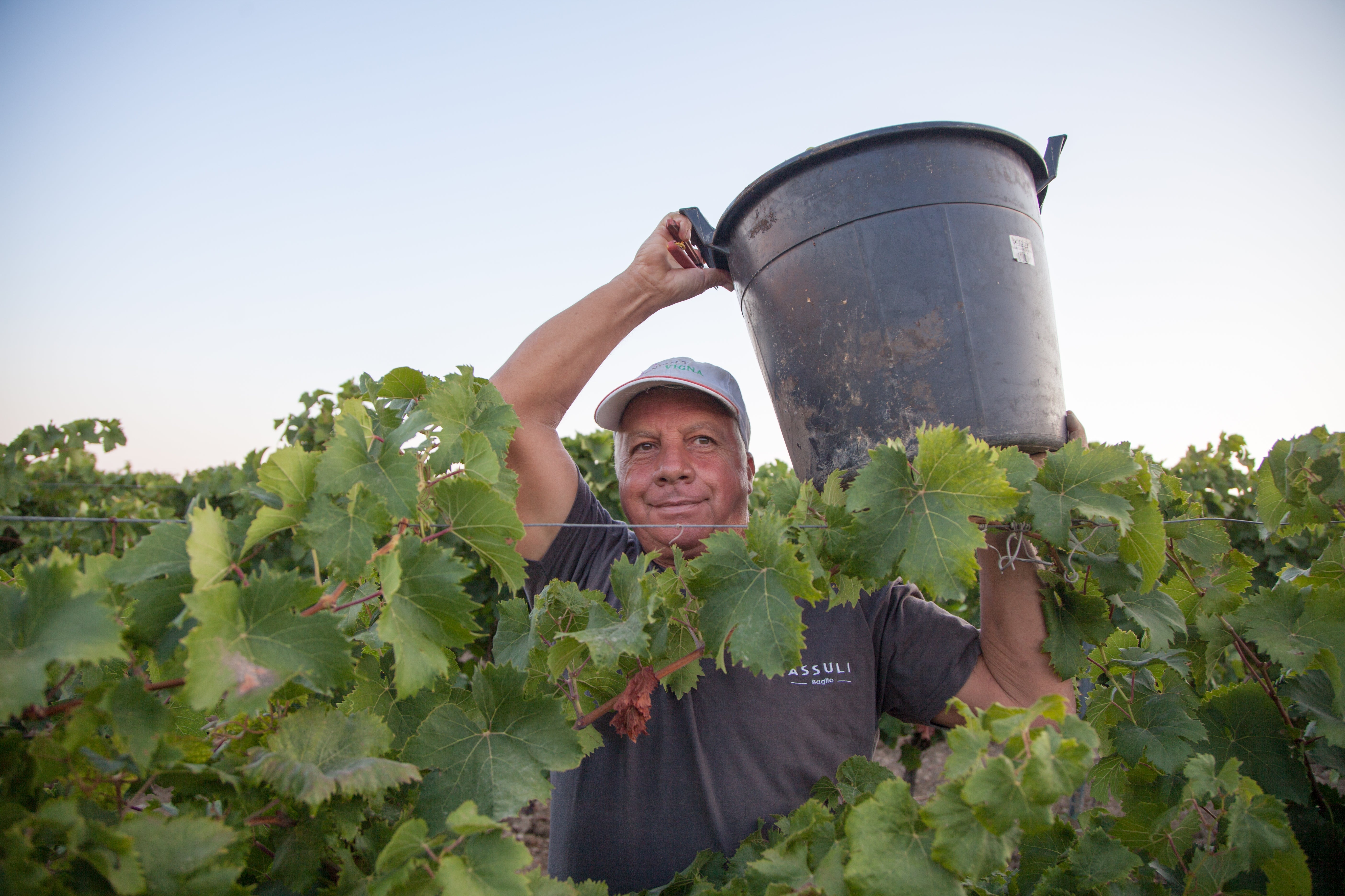 Biologisch, da’s eigenlijk best logisch.