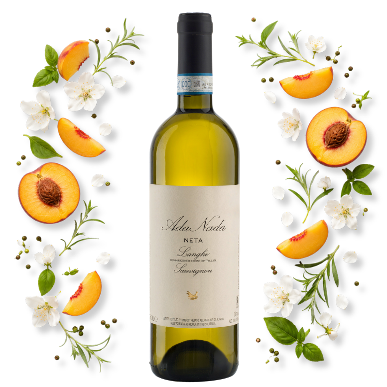 Neta Sauvignon Blanc Ada nada