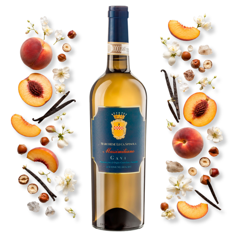 Luca spinola Massimiliano di Gavi