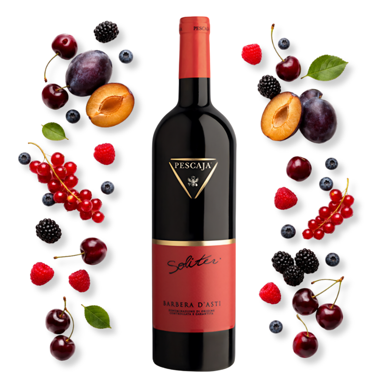 Pescaja Soliter Barbera d'Asti