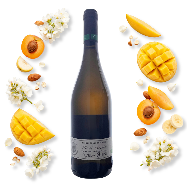 Villa Rubini Pinot Grigio