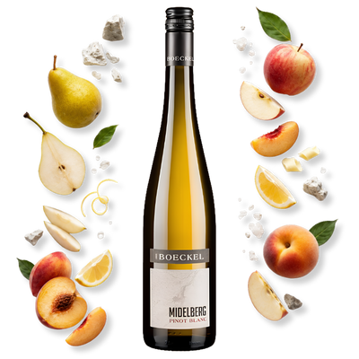 Pinot Blanc Domaine Boeckel