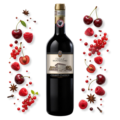 Fattoria Montecchio Chianti Classico