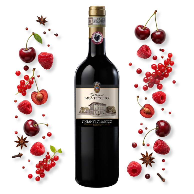 Fattoria Montecchio Chianti Classico