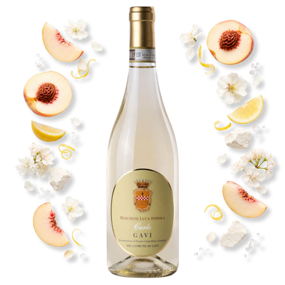 Luca Spinola Gavi di Gavi Carlo