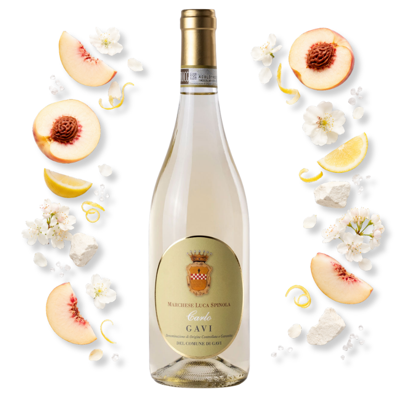 Luca Spinola Gavi di Gavi Carlo