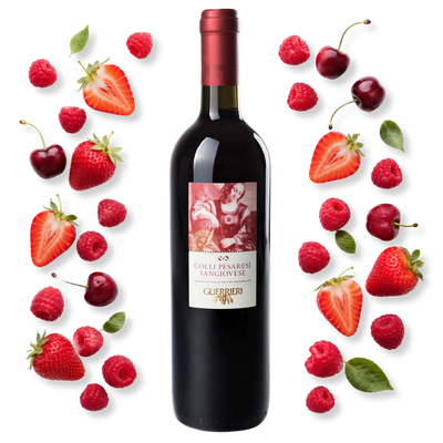 Guerrieri Colli Pesaresi Sangiovese