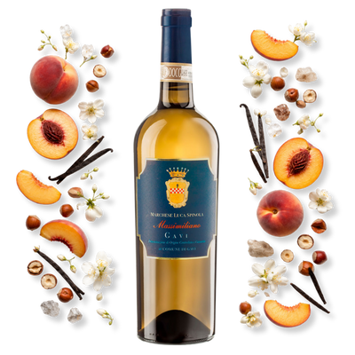 Luca spinola Massimiliano di Gavi
