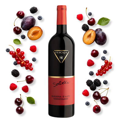 Pescaja Soliter Barbera d'Asti