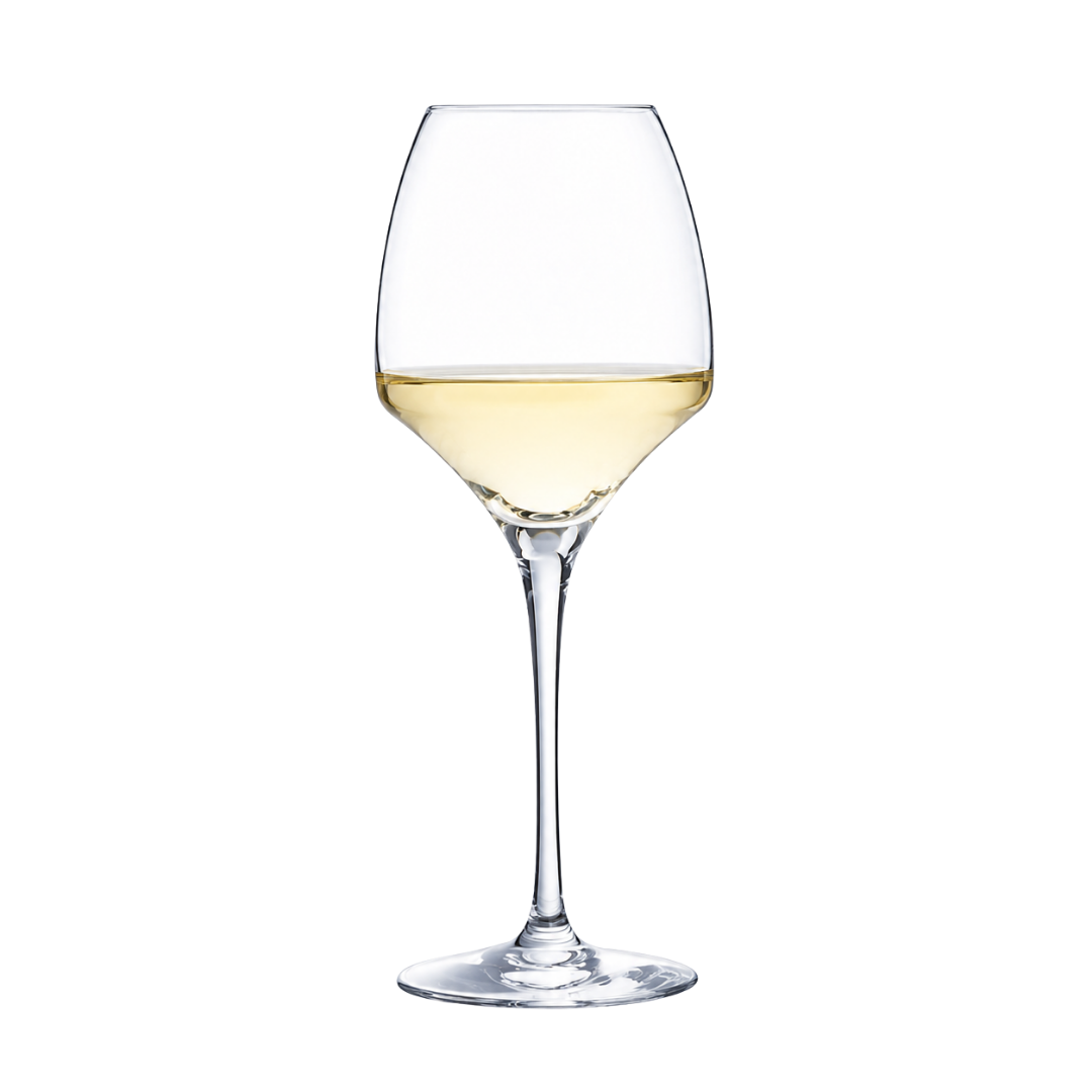 Villa Rubini Pinot Grigio